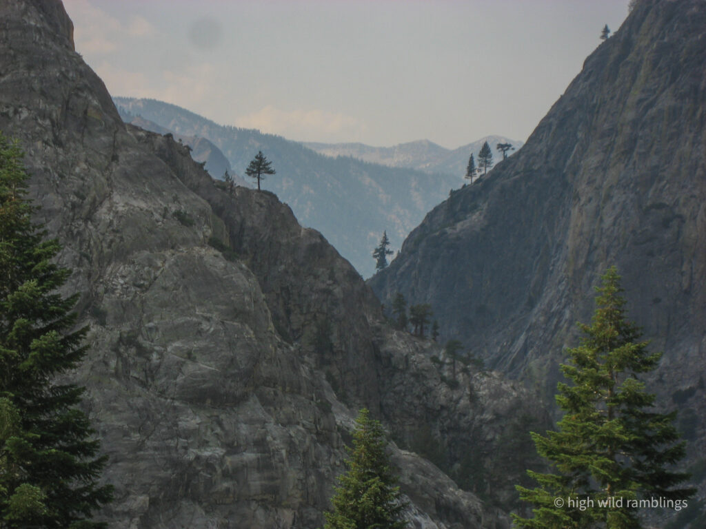 High Wild Ramblings