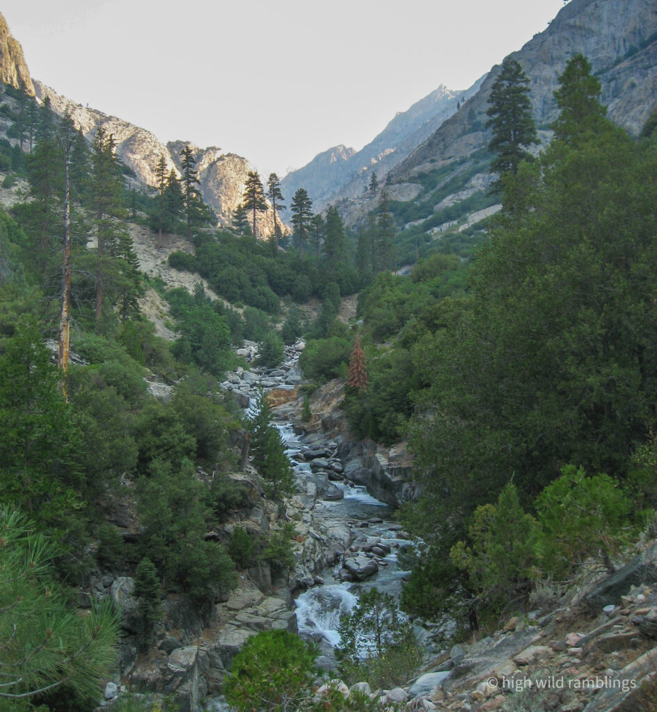 High Wild Ramblings