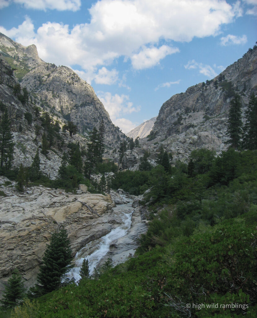 High Wild Ramblings