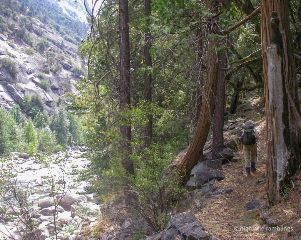 High Wild Ramblings
