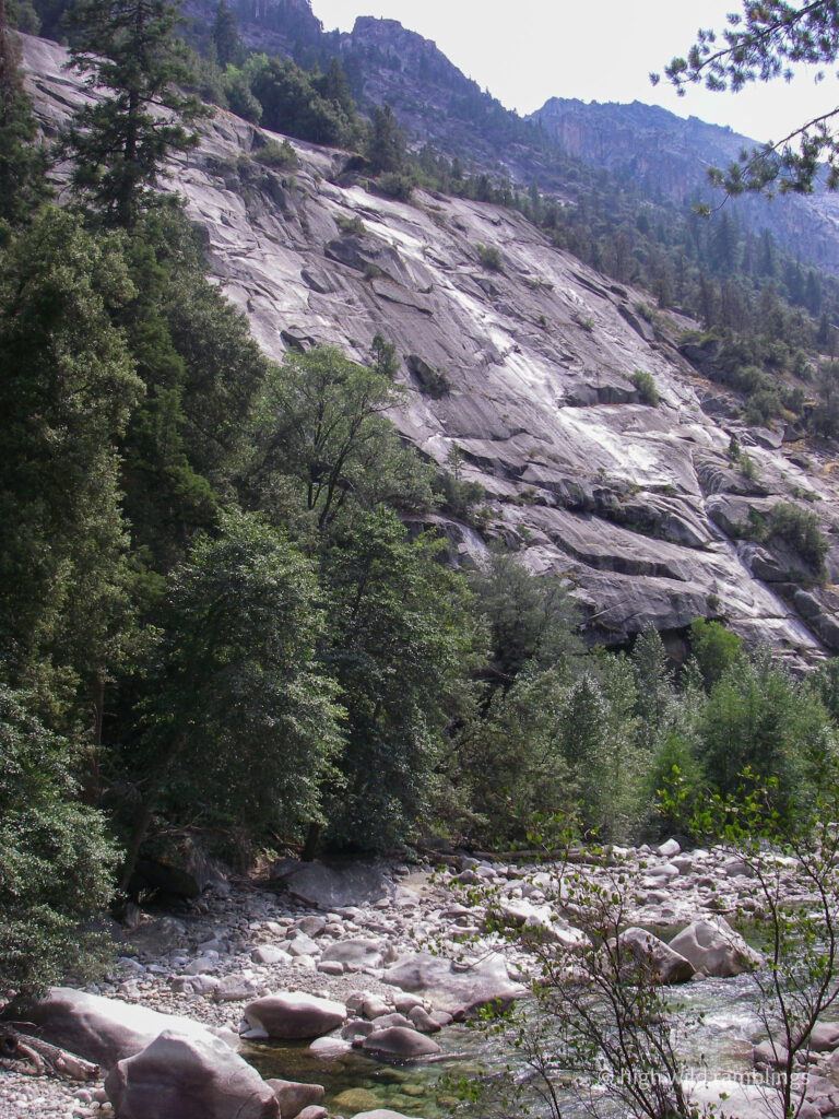 High Wild Ramblings