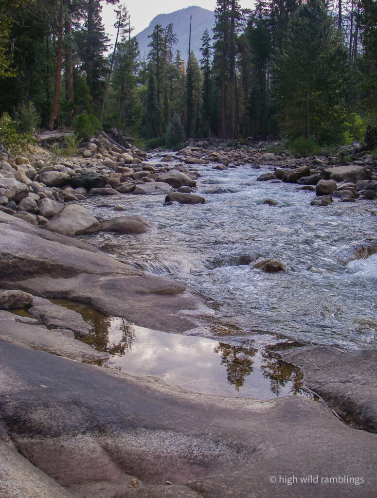 High Wild Ramblings