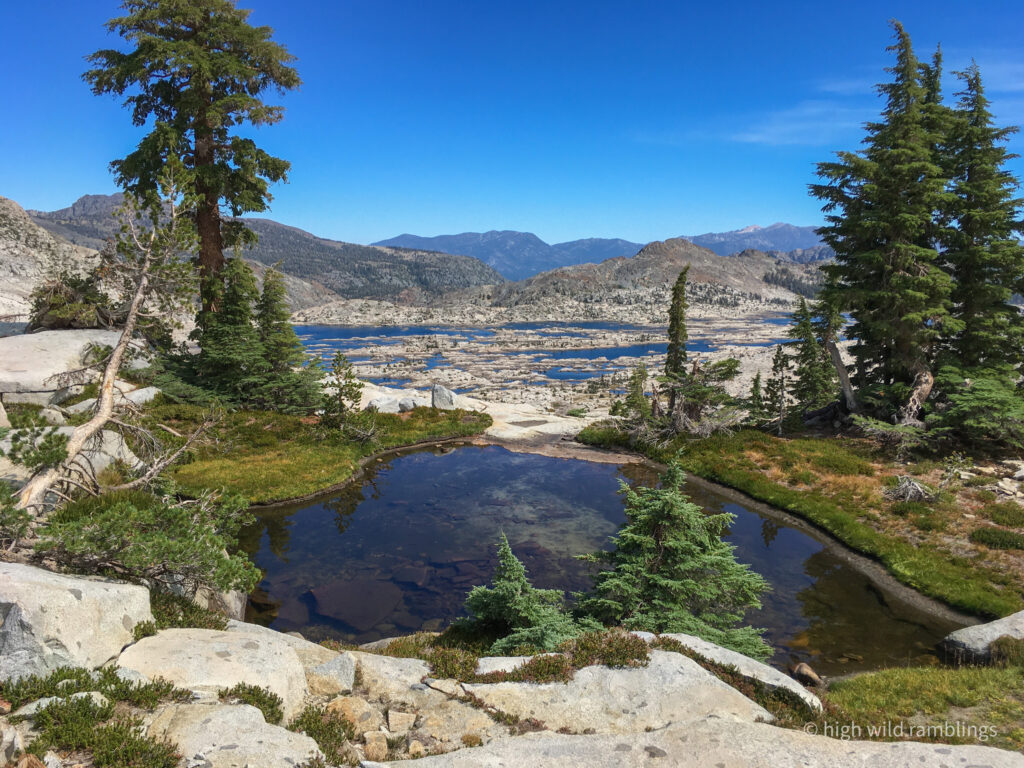 High Wild Ramblings