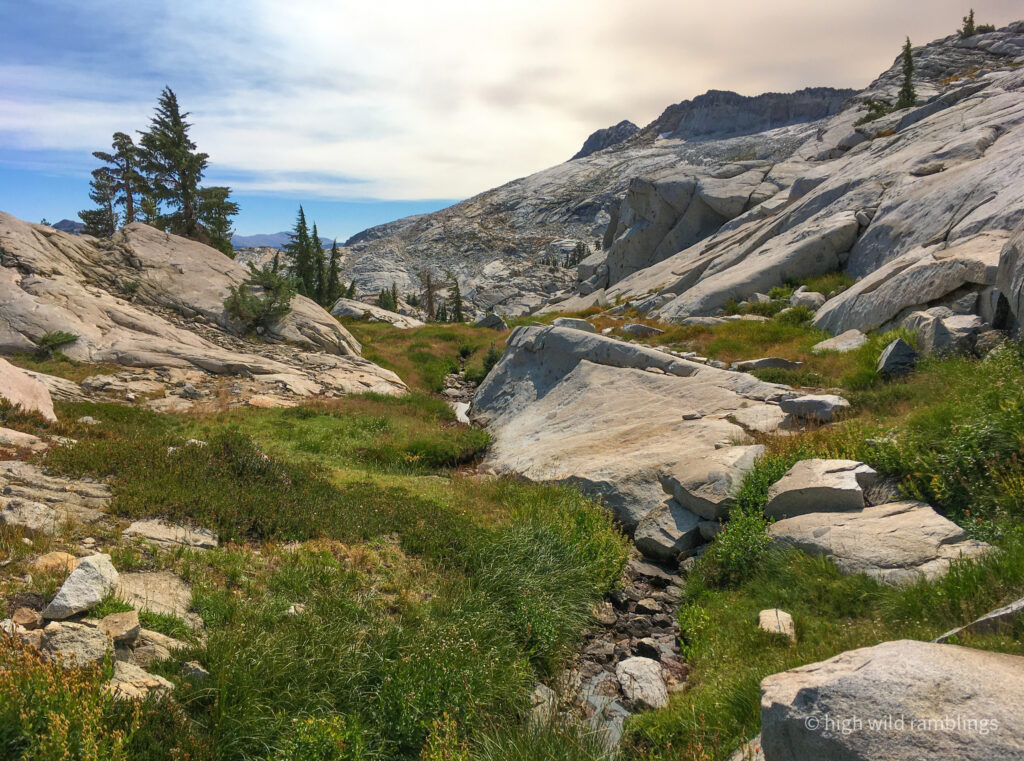 High Wild Ramblings