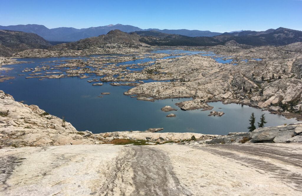 High Wild Ramblings
