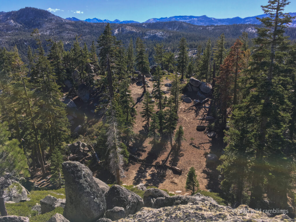 High Wild Ramblings