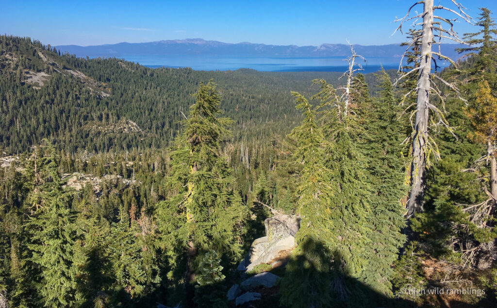 High Wild Ramblings