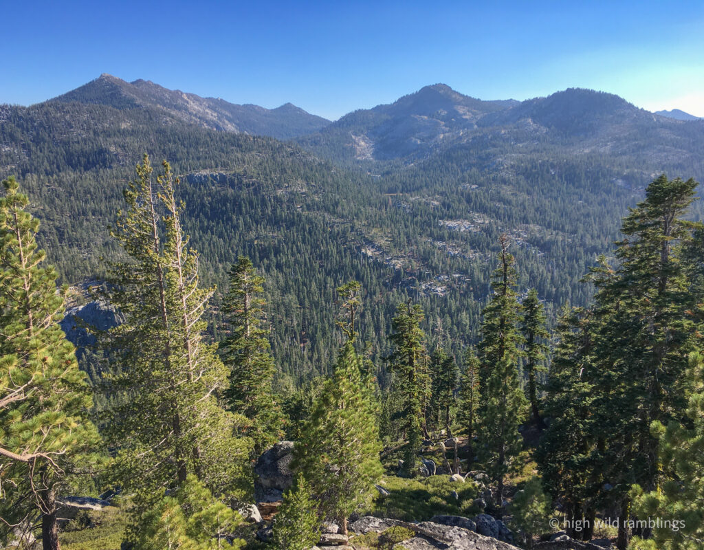 High Wild Ramblings