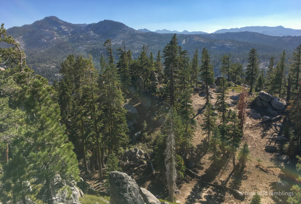 High Wild Ramblings