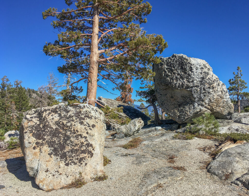 High Wild Ramblings