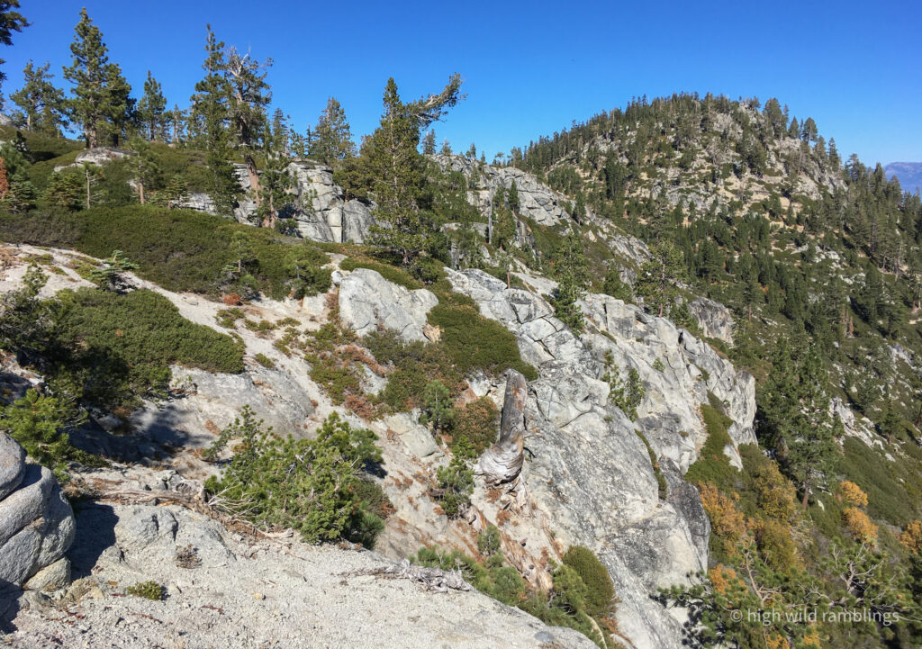 High Wild Ramblings