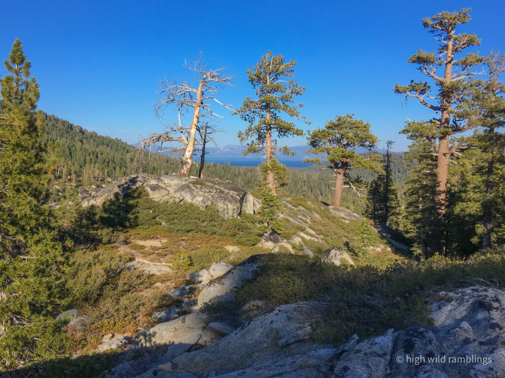 High Wild Ramblings