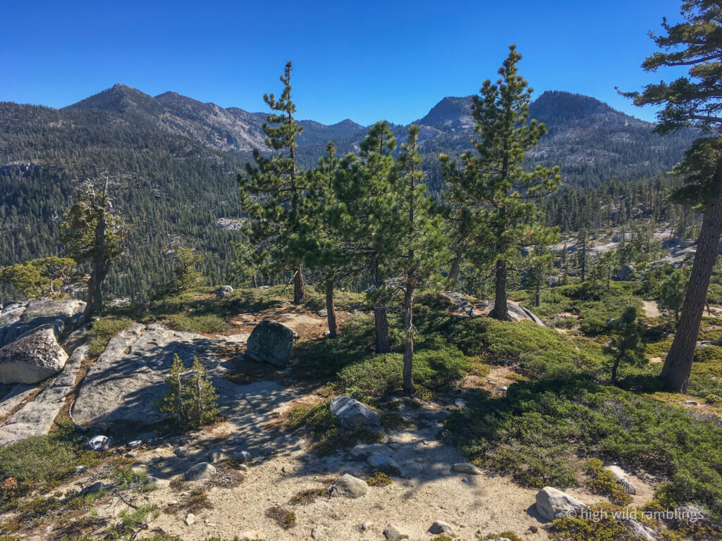 High Wild Ramblings