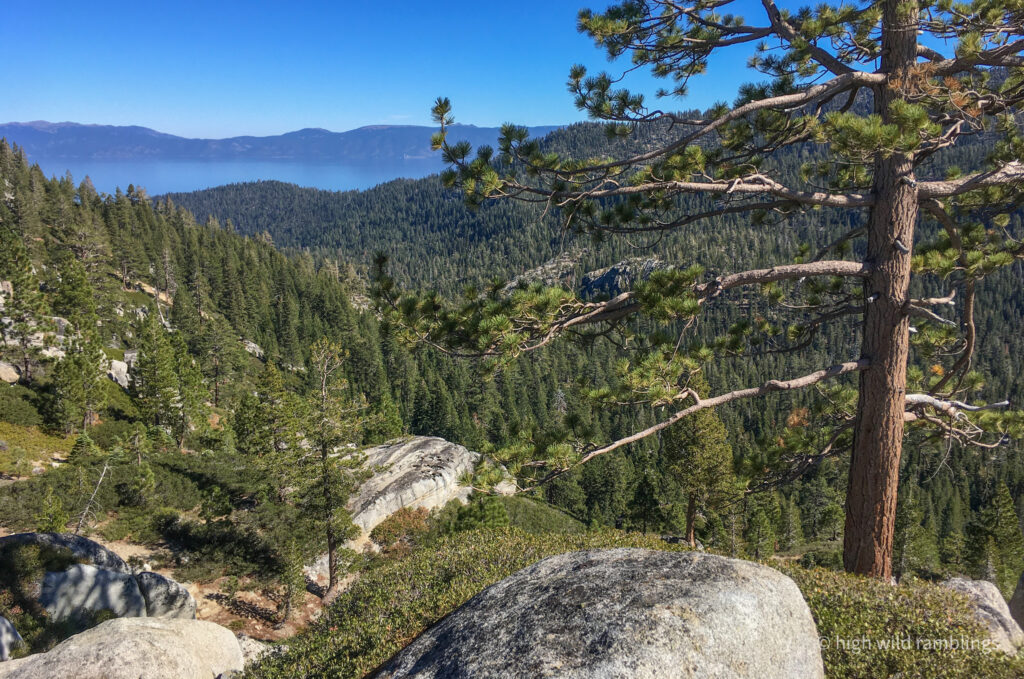 High Wild Ramblings