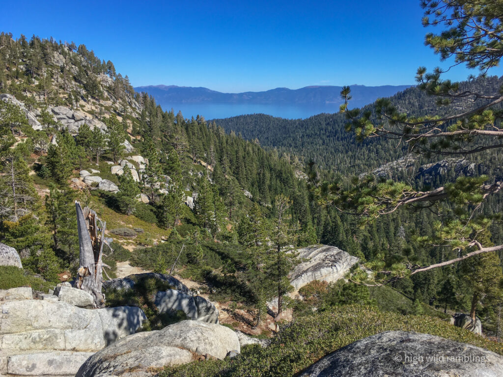 High Wild Ramblings
