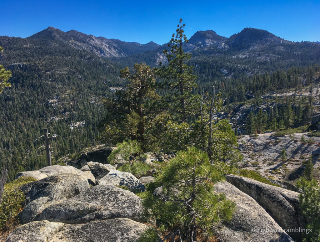 High Wild Ramblings