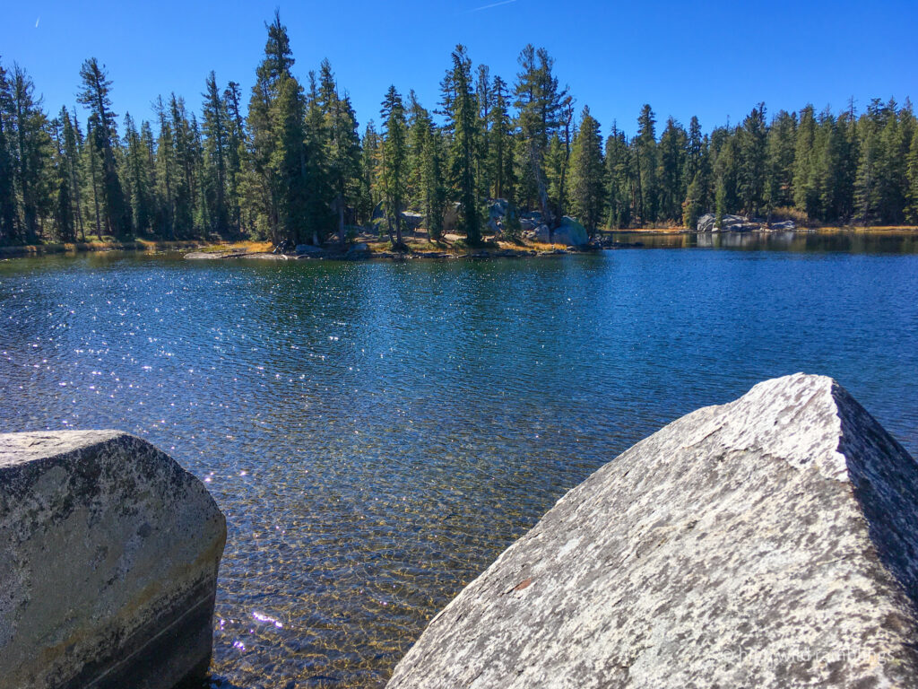 High Wild Ramblings