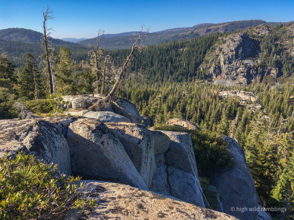 High Wild Ramblings