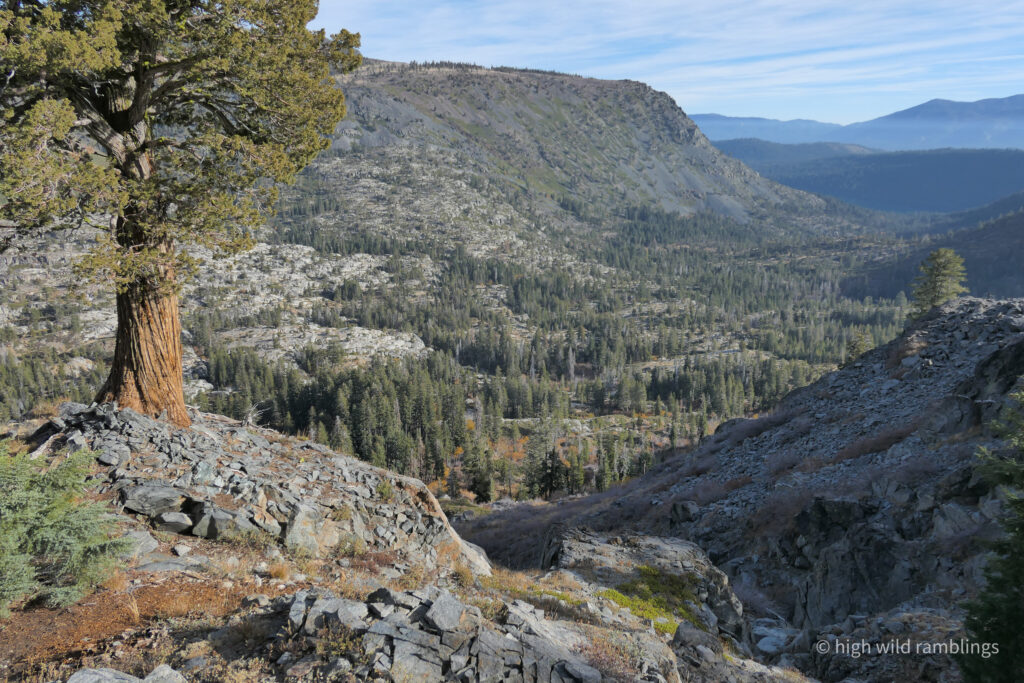 High Wild Ramblings