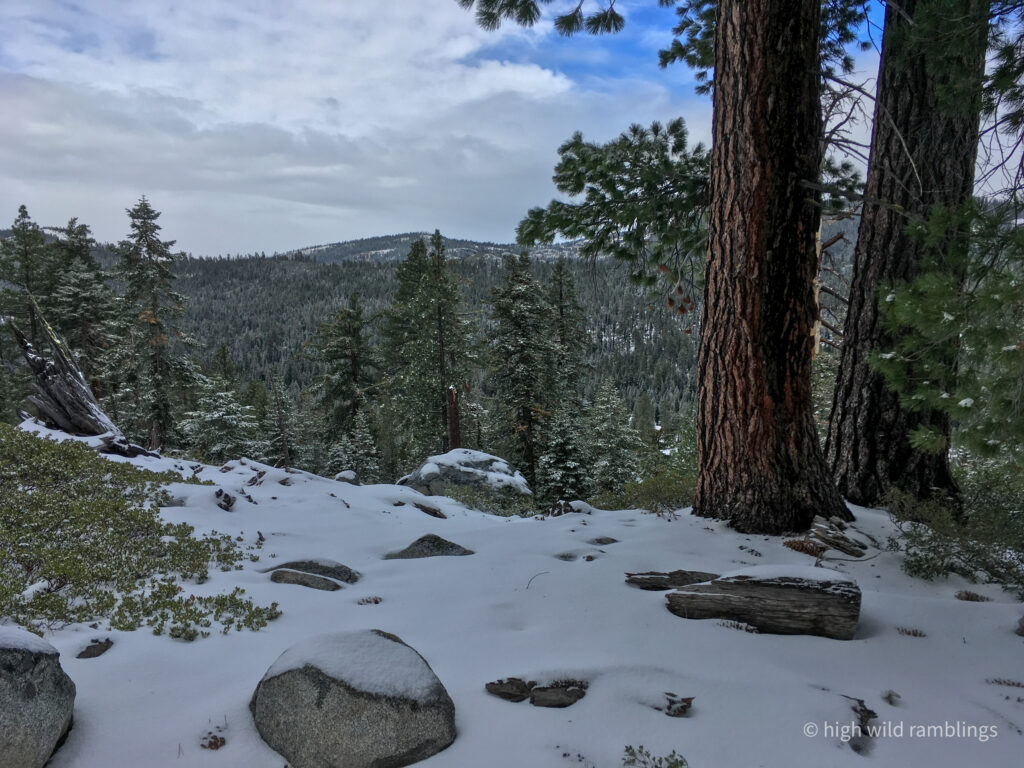 High Wild Ramblings