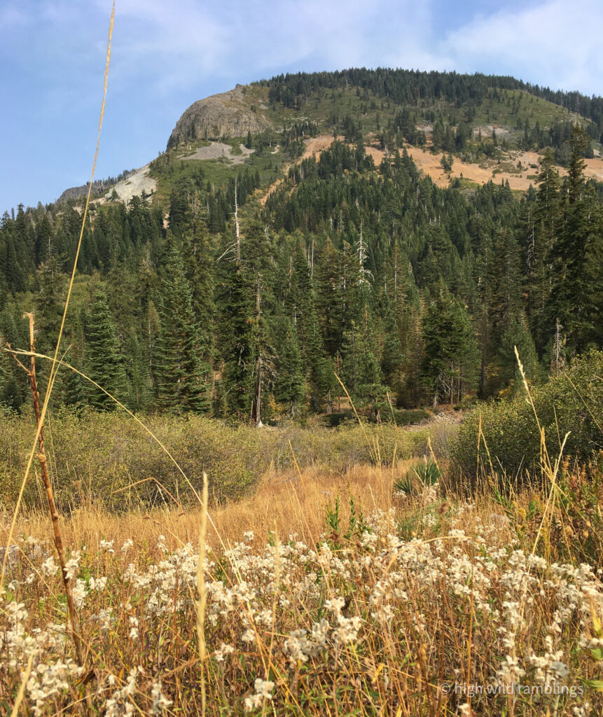 High Wild Ramblings